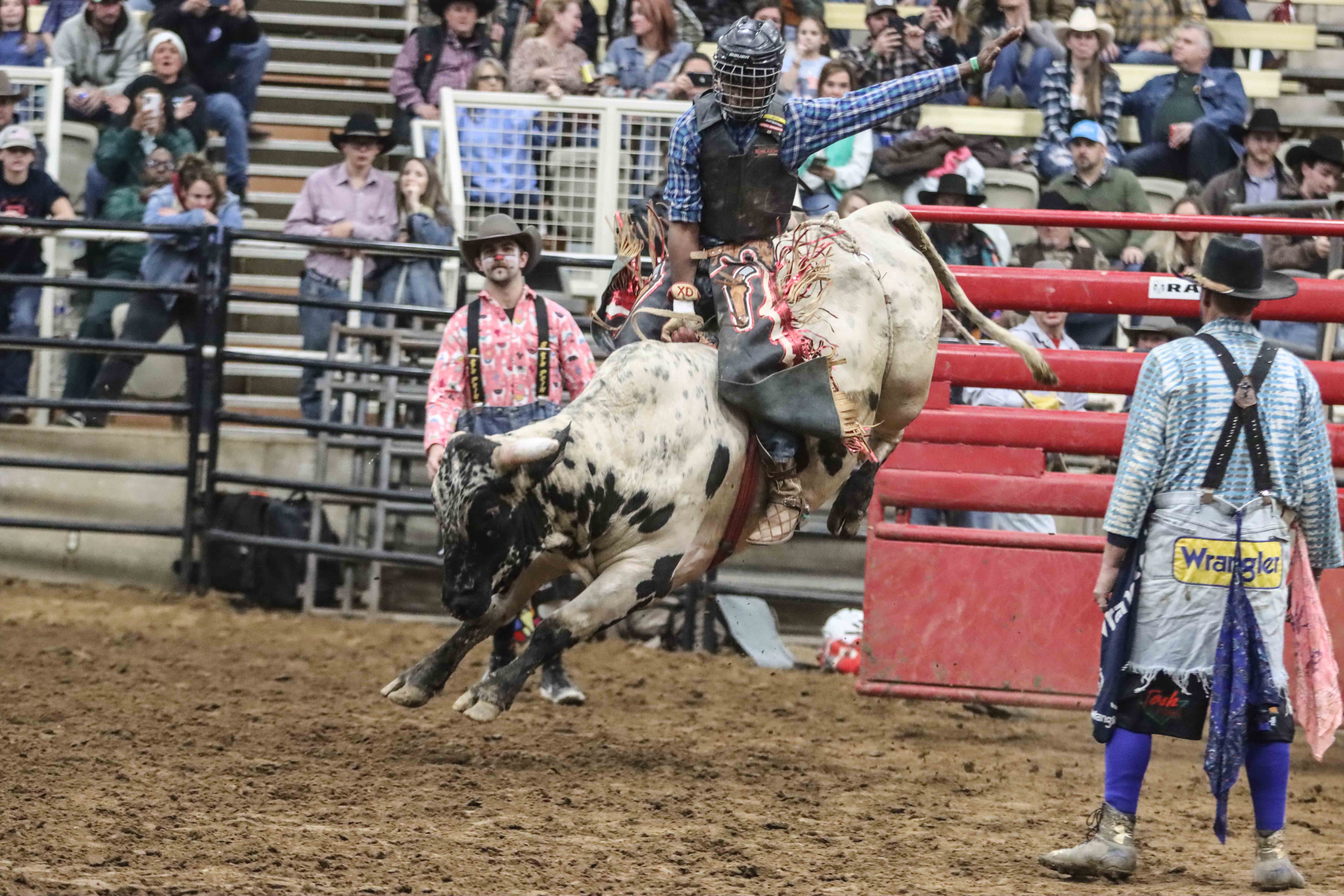Rodeo Bull Riding